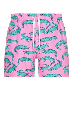 MAILLOT DE BAIN en . Taille L. Also en XXL/2X - Chubbies - Modalova