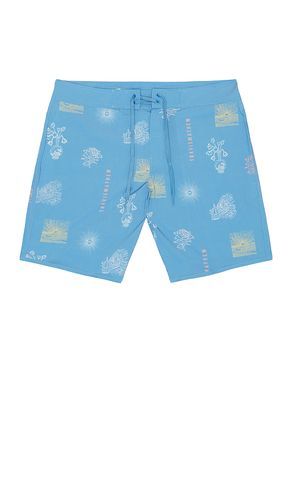 SHORT DE BAIN PASSPORT en . Taille 30. Also en 32, 33, 34, 36 - TravisMathew - Modalova