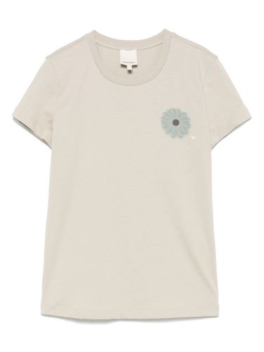 Organic Cotton T-Shirt - Emporio Armani - Modalova