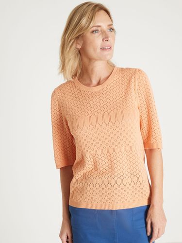 Pull manches au coude - Daxon - Modalova