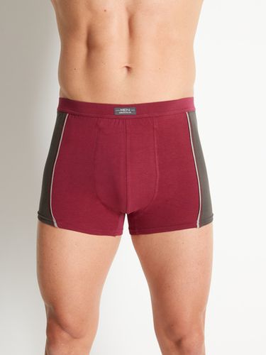 Shorties coton stretch, lot de 4 - Daxon - Modalova