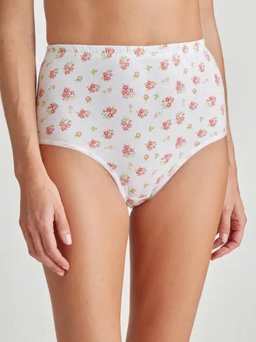 Lot de 8 culottes en pur coton - Daxon - Modalova