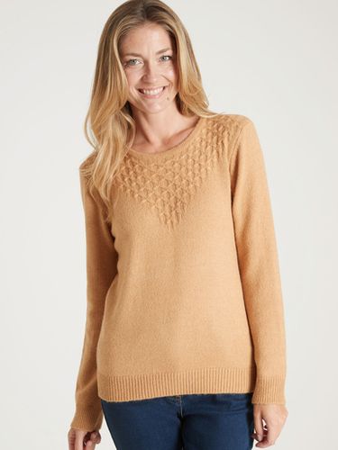 Pull avec jeu de maille pointelle - Daxon - Modalova