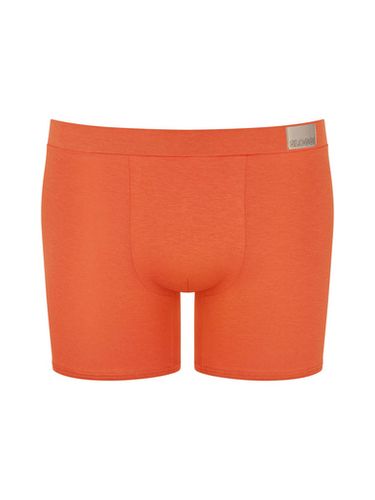 Lot de 4 boxers GO Natural Short - Sloggi - Modalova