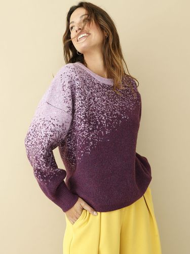 Pull jacquard intarsia - Daxon - Modalova