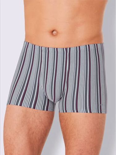 Boxer jersey fin - Comte - Modalova