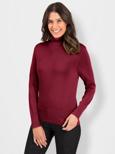 Pull tricot fin doux col roulé coupe classique - Witt - Modalova