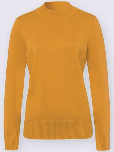 Pull en tricot manches et ourlet à bords-côtes extensibles - Witt - Modalova