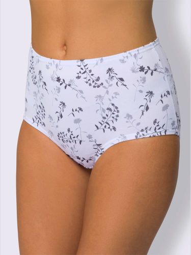 Slip taille haute qualité coton - Witt - Modalova