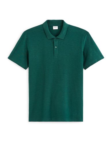 Polo jersey regular en coton - vert foncé - camaieu - Modalova