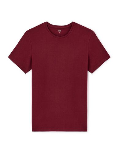 T-shirt col rond coton stretch - bordeaux - camaieu - Modalova