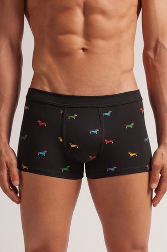 Dachshund Print Superior Cotton Boxers Man Black Size 3 - Intimissimi - Modalova