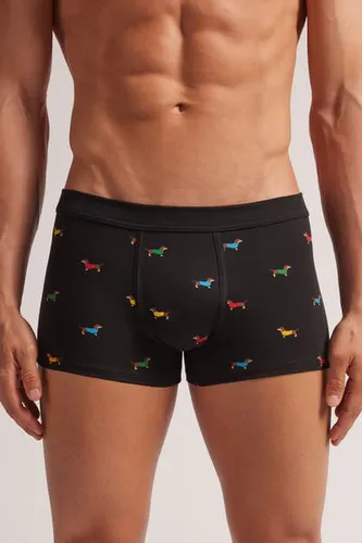 Dachshund Print Superior Cotton Boxers Man Black Size 6 - Intimissimi - Modalova