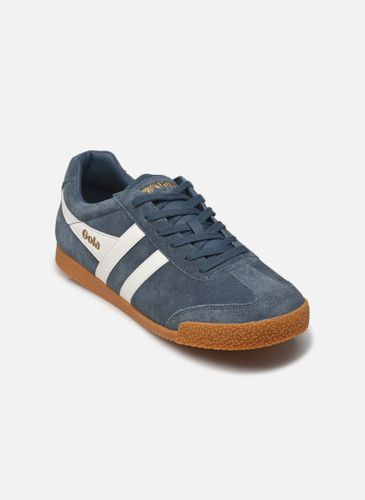 Baskets Harrier Suede - Gola - Modalova