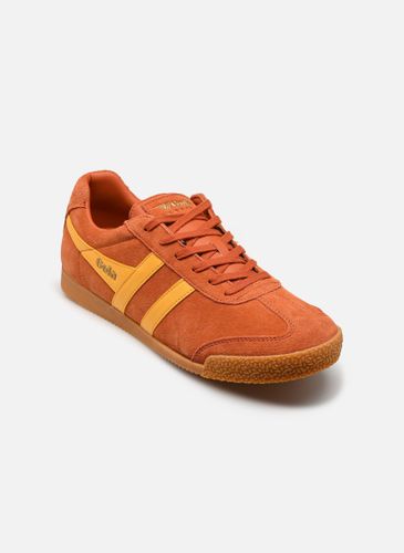 Baskets Harrier Suede - Gola - Modalova