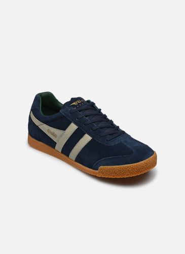 Baskets Harrier Suede M - Gola - Modalova