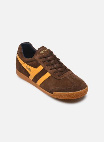 Baskets Harrier Suede M - Gola - Modalova