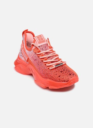 Baskets Mistica - Steve Madden - Modalova