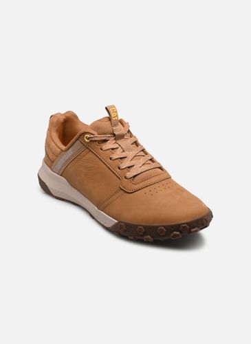Baskets HEX READY LOW - Caterpillar - Modalova