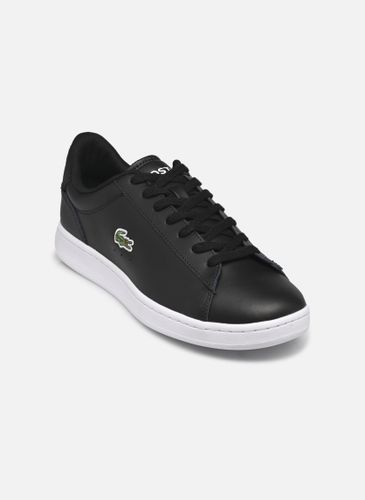 Baskets CARNABY M - Lacoste - Modalova