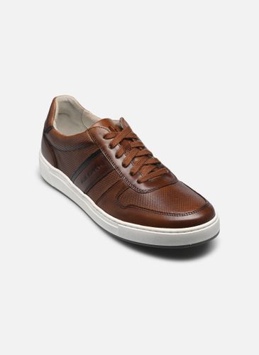 Baskets Pius Gabor Mix pour Homme - Pius Gabor - Modalova