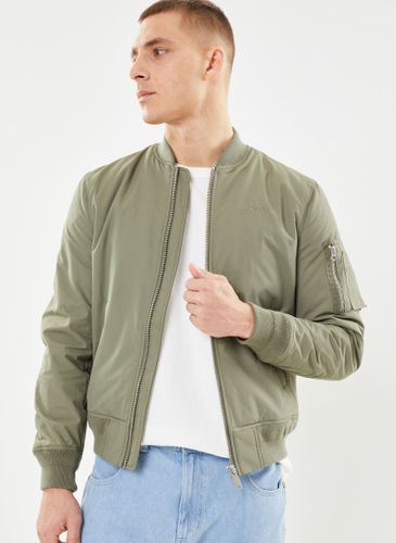 Vêtements Bomber - Schott - Modalova