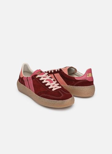 Baskets Caval HIGH PULSE pour Femme - Caval - Modalova