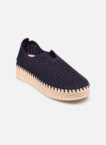 Baskets PLUUM P-EVA pour Femme - PLUUM - Modalova