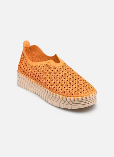 Baskets PLUUM P-EVA pour Femme - PLUUM - Modalova