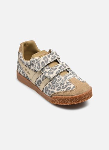 Baskets Harrier Safari Strap pour Enfant - Gola - Modalova
