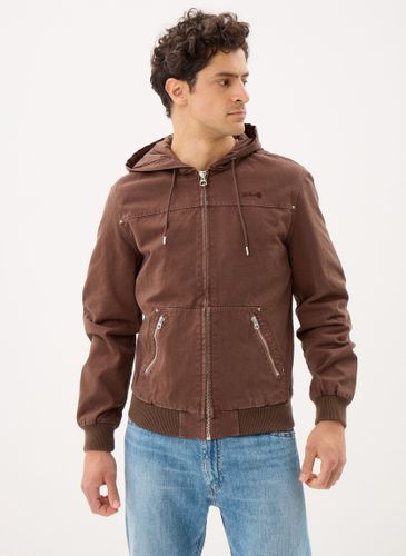 Vêtements Blouson-CADEN - Schott - Modalova