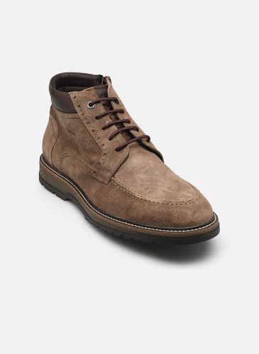 Bottines et boots BUGGY F2325 - Fluchos - Modalova