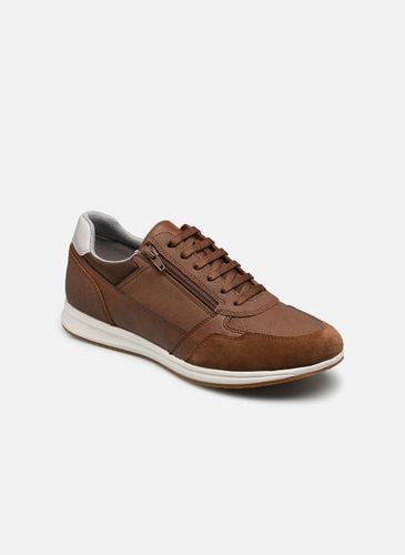 Baskets Geox U AVERY / pour Homme - Geox - Modalova