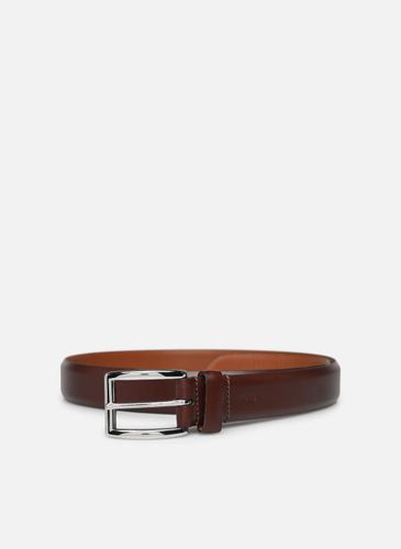 Ceintures 1 1/8 Hrnss-Belt-Medium pour Accessoires - Polo Ralph Lauren - Modalova