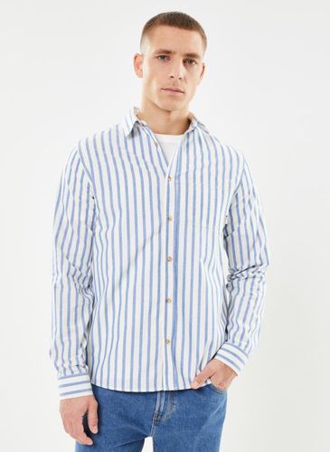 Vêtements Signy Shirt Cotton pour Accessoires - Faguo - Modalova