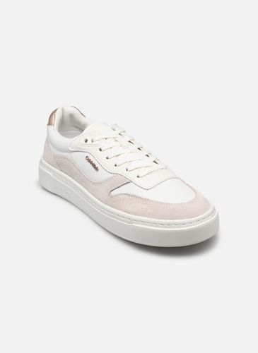 Baskets CUPSOLE LACE UP W/ML MIX M pour - Calvin Klein - Modalova