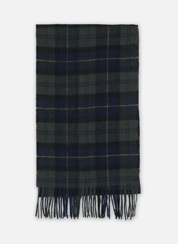 Echarpes et Foulards tartan lambswool scarf pour Accessoires - Barbour - Modalova