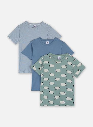 Vêtements 3 Tee Shirts MC A0BHO00 pour Accessoires - Petit Bateau - Modalova