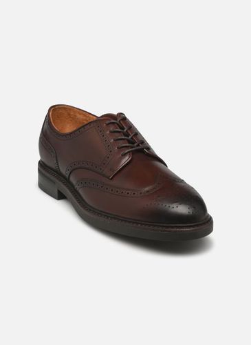 Chaussures à lacets ASHER WGTIP-DRESS SHOE-WINGTIP pour - Polo Ralph Lauren - Modalova