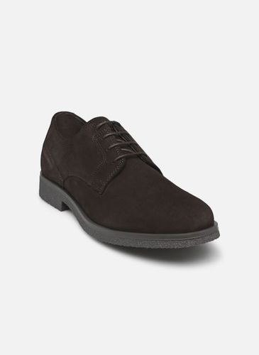 Chaussures à lacets UOMO CLAUDIO A 024 pour - Geox - Modalova