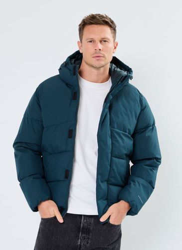 Vêtements JJWORLD PUFFER JACKET pour Accessoires - Jack & Jones - Modalova