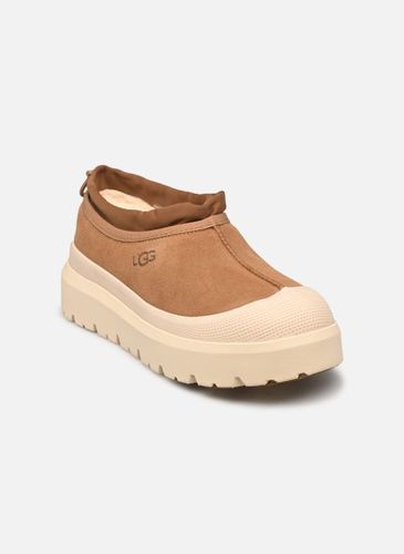 Bottines et boots M Tasman Weather Hybrid - UGG - Modalova