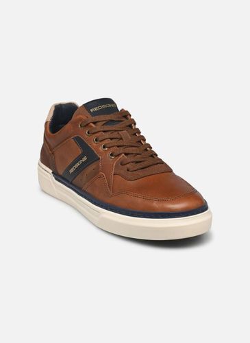 Baskets Redskins LERMI pour Homme - Redskins - Modalova
