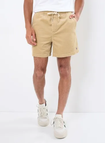 Vêtements Cfprepsters-Flat-Short 710800214 pour Accessoires - Polo Ralph Lauren - Modalova