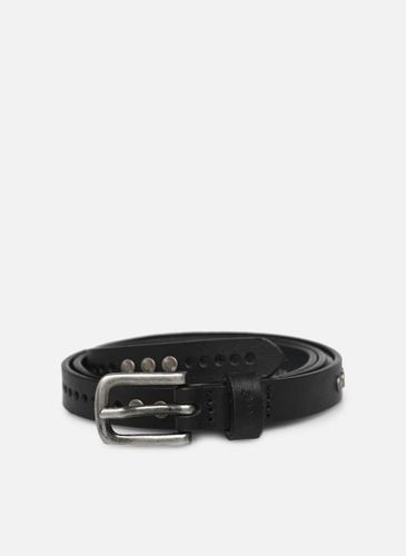 Ceintures Embellished Belt pour Accessoires - Levi's - Modalova