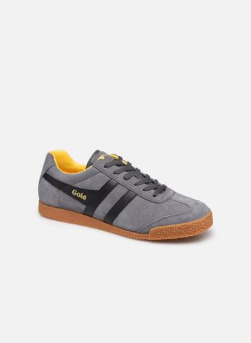 Baskets Harrier Suede - Gola - Modalova