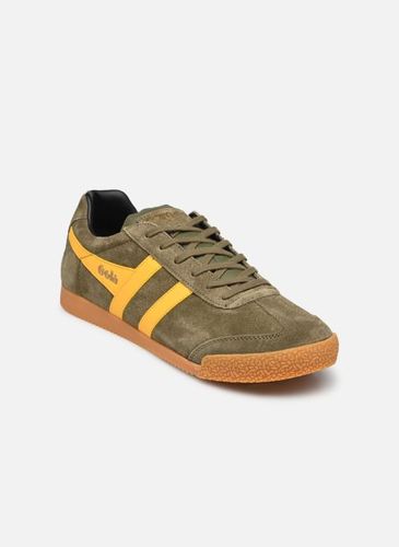 Baskets Harrier Suede M - Gola - Modalova
