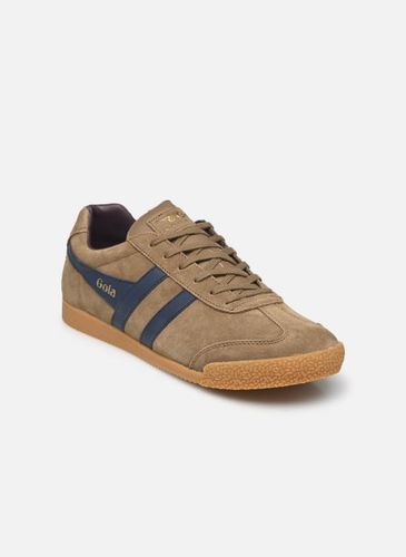 Baskets Harrier Suede M - Gola - Modalova