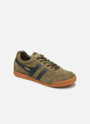 Baskets Harrier Suede - Gola - Modalova