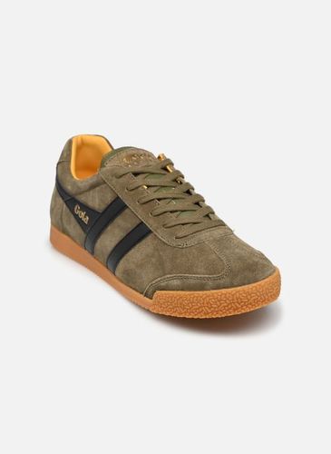 Baskets Harrier Suede - Gola - Modalova